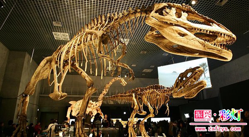 自贡大三绝——恐龙化石