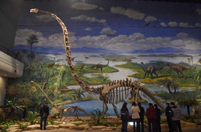 这是自贡恐龙博物馆内展出的约1.6亿面前的天府峨眉龙化石